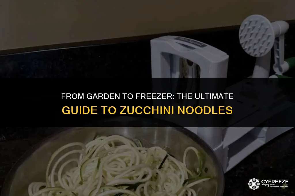 can you make zuchnni noodles and freeze them