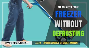 Relocating Your Fridge Freezer: Defrosting Not Required!