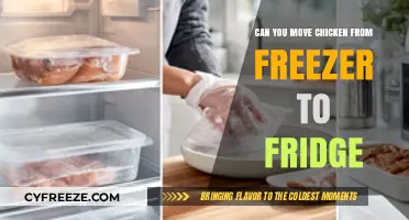 Safely Thawing Chicken: Freezer to Fridge Transition Tips