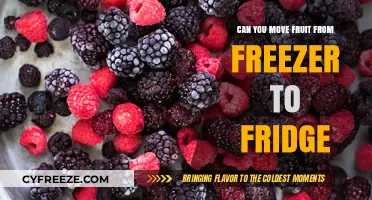 Thawing Tactics: Safely Transitioning Frozen Fruit to the Fridge