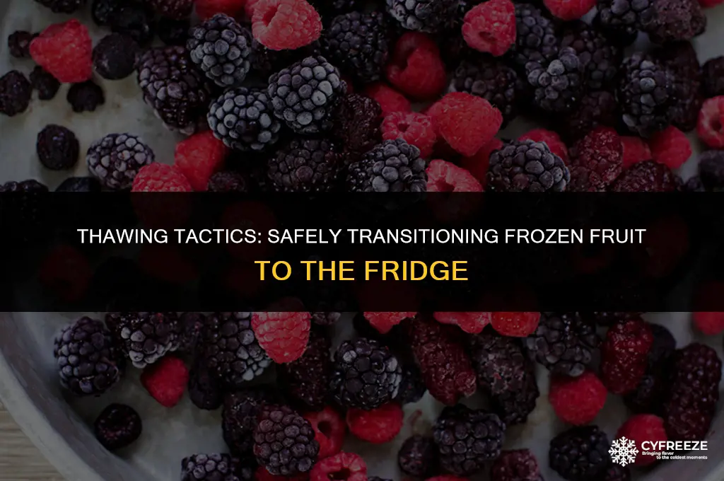 can you move fruit from freezer to fridge