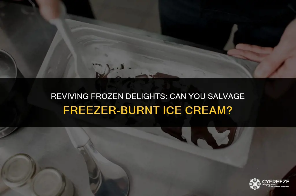 can you neat ice cream thats freezer burnt