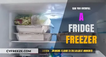 Avoid Overfilling Your Fridge Freezer: Tips for Optimal Storage and Efficiency