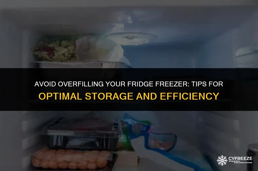 can you overfill a fridge freezer