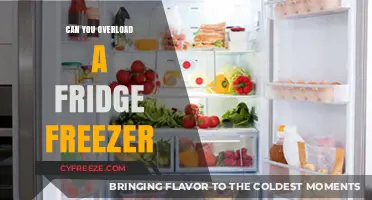 Avoid Overloading Your Fridge Freezer: Tips for Optimal Storage
