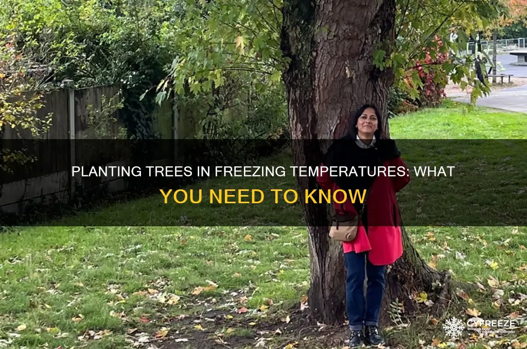 can you plant trees in temperature goes below freezing