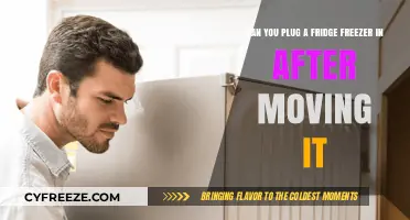 Safely Plugging in Your Fridge Freezer After Moving: A Guide