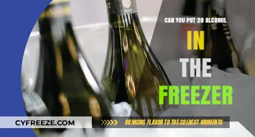 Chilling Your Spirits: The Do's and Don'ts of Freezing Alcohol