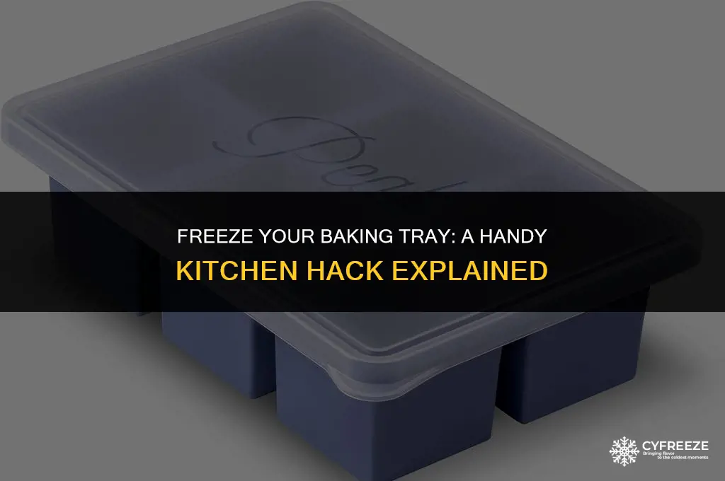 can you put a baking tray in the freezer