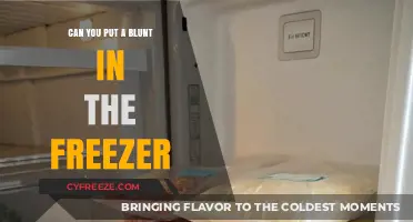 Exploring Blunt Storage: Freezer or Not?