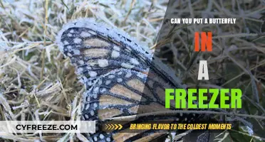 The Surprising Truth About Freezing Butterflies: A Guide