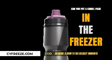 CamelBak Chill: Can You Freeze Your Hydration Pack?