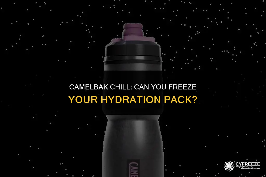 can you put a camel pack in the freezer