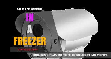 Chilling Surveillance: Exploring the Limits of Freezer-Safe Cameras