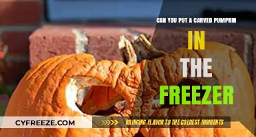Preserving Halloween: The Ultimate Guide to Freezing Carved Pumpkins