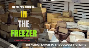 Cheesy Freeze: The Ultimate Guide to Freezing Cheese Balls