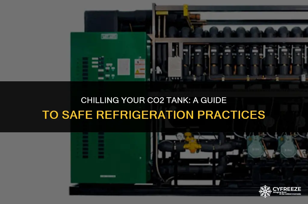 can you put a co2 tank in the freezer