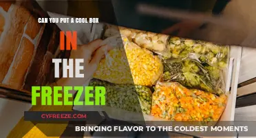 Chill Your Cool Box: Freezer Storage Tips and Tricks