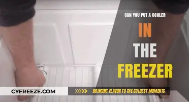 Chill Your Cooler: Freezer Hacks for Ultimate Refreshment