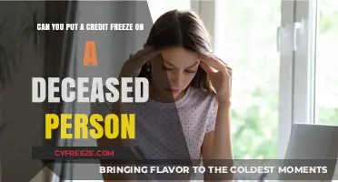 Protecting the Deceased: How to Place a Credit Freeze