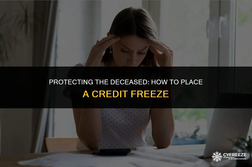 can you put a credit freeze on a deceased person