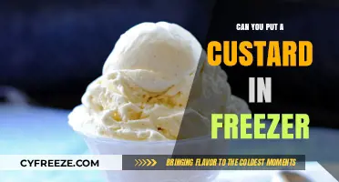 Sweet Success: The Ultimate Guide to Freezing Custard Without Compromising Texture