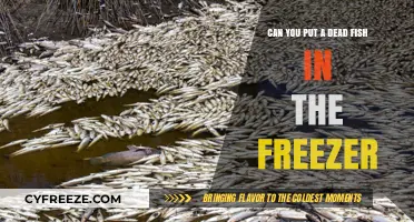 Reviving Leftovers: The Do's and Don'ts of Freezing Dead Fish