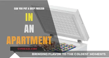 Compact Living: Can You Fit a Deep Freezer in Your Apartment?