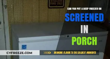 Deep Freeze on Screened Porch: A Practical Guide