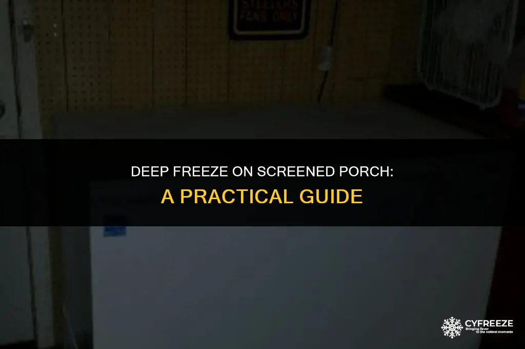 can you put a deep freezer on screened in porch