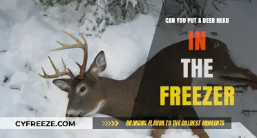 Preserving Wilderness Bounty: Freezing Your Deer Head Harvest
