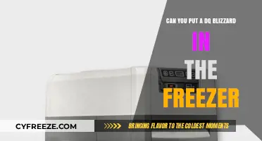 Blizzard Bound: The Ultimate Guide to Freezing Your DQ Delight