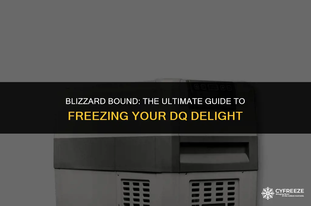 can you put a dq blizzard in the freezer