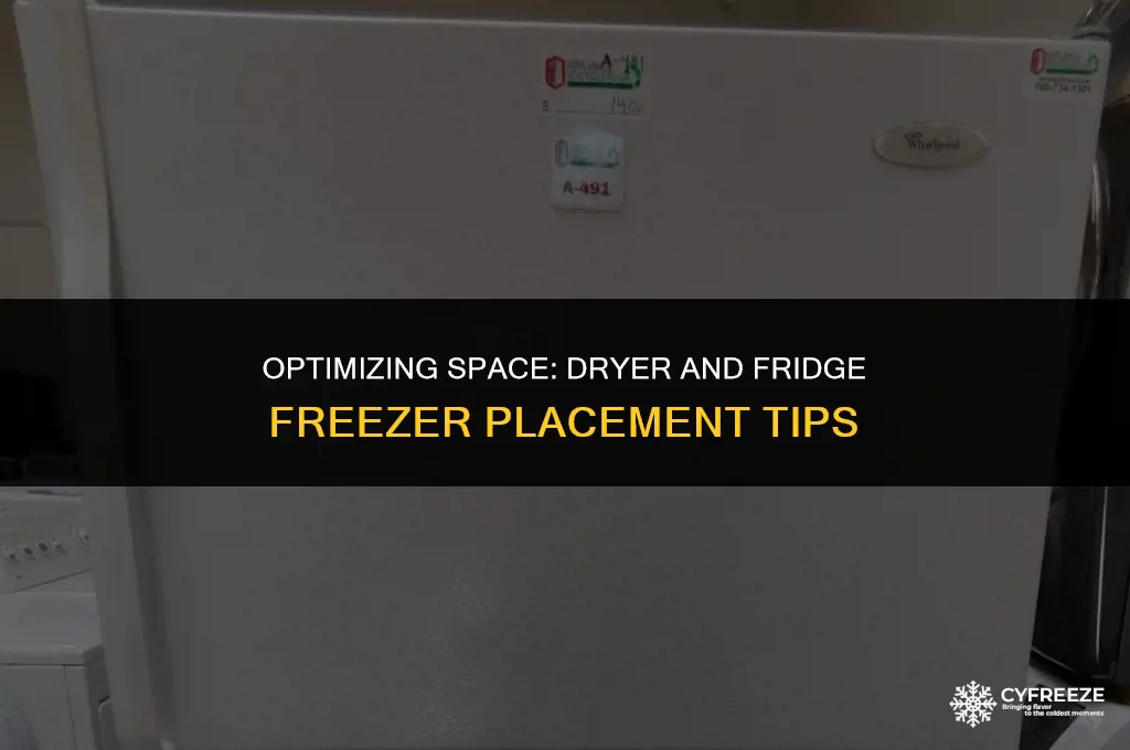 can you put a dryer and fridge freezer