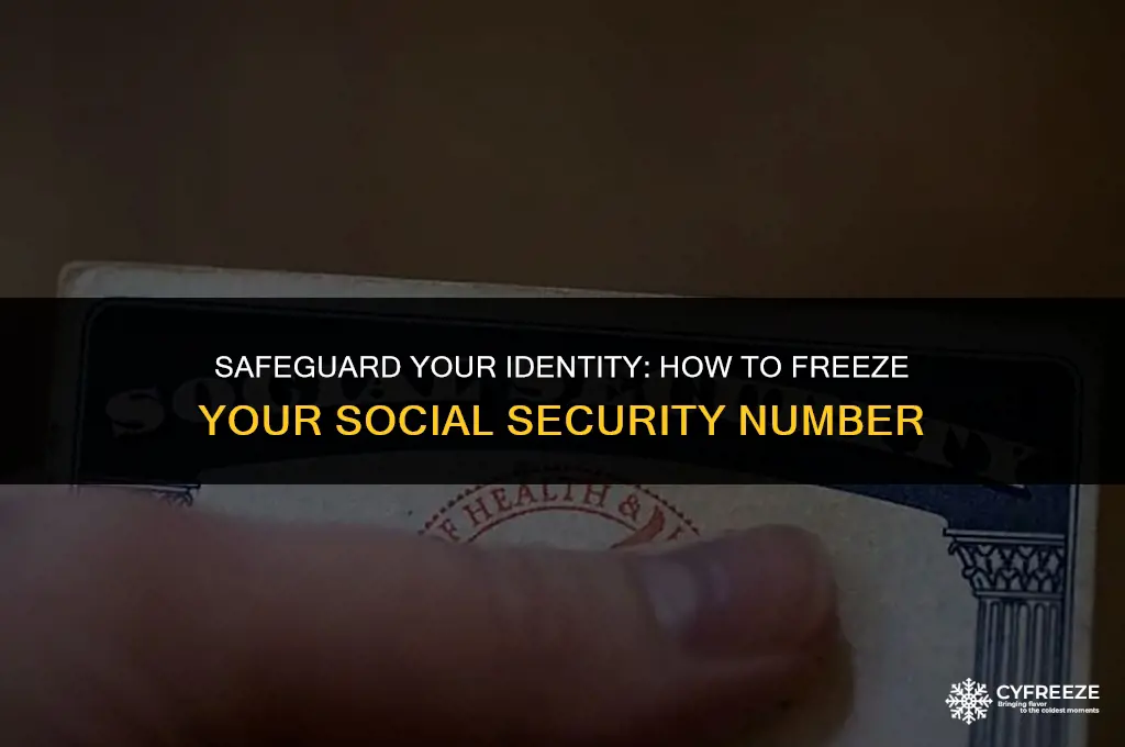 can you put a freeze on your social security number