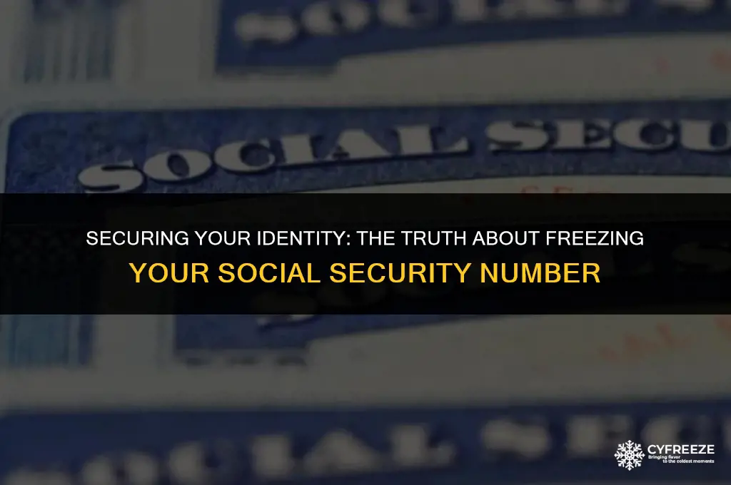 can you put a freeze on your ssn