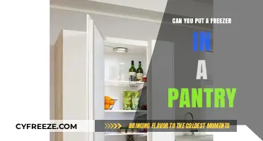 Smart Storage Solutions: Can You Put a Freezer in a Pantry?