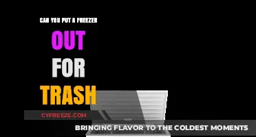 Eco-Friendly Disposal: A Guide to Recycling Your Old Freezer