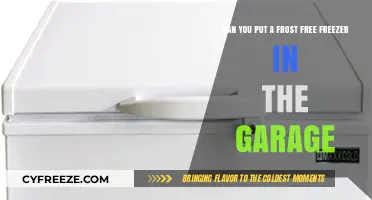 Garage-Ready: The Ultimate Guide to Frost-Free Freezers
