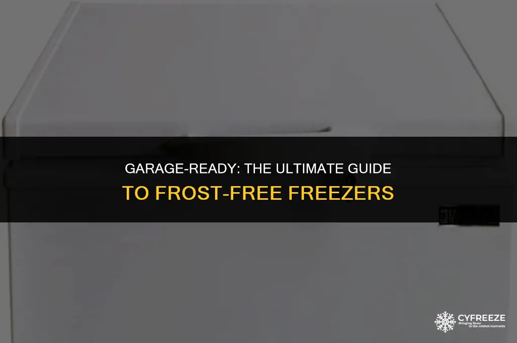 can you put a frost free freezer in the garage