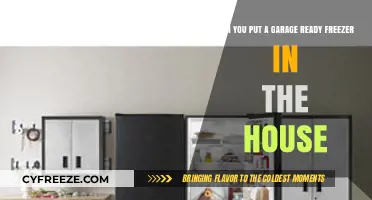 Household Integration: Can Your Garage Freezer Move Indoors?
