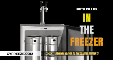 Chill Your Keg: A Guide to Freezer Beer Storage