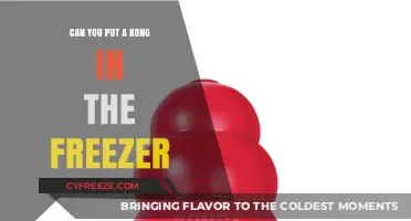 Chill Out: The Surprising Truth About Freezing Kongs