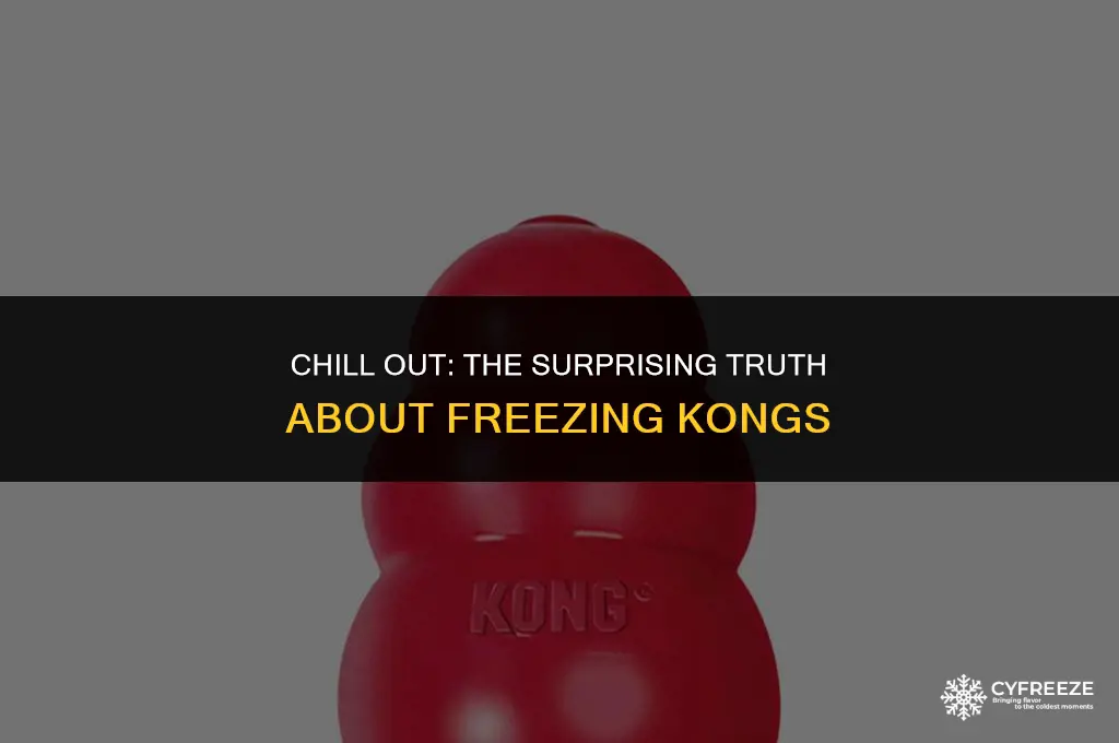 can you put a kong in the freezer