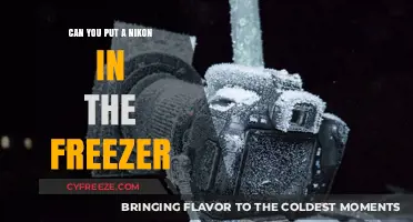 Chilling Photography: The Truth About Freezing Your Nikon Camera