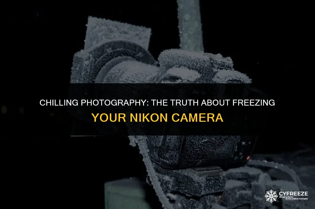 can you put a nikon in the freezer