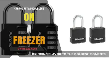 Securing Your Freezer: The Paddle Lock Solution