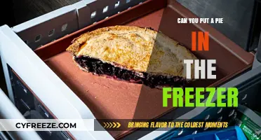 Freeze Your Pie: A Handy Guide to Pie Preservation