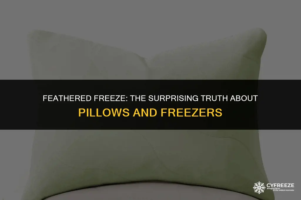 can you put a pillow with feathers in the freezer