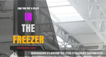 Chill or Not: The Truth About Freezing Plates